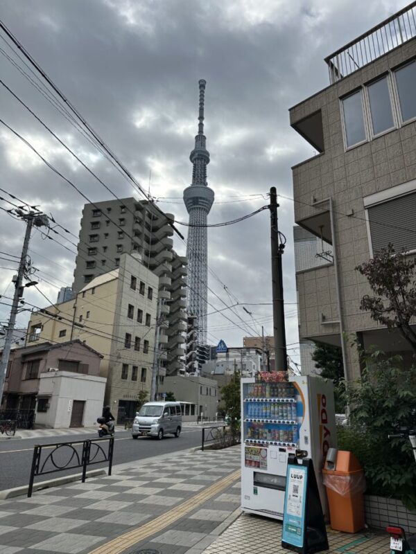 花よりダンベルの画像